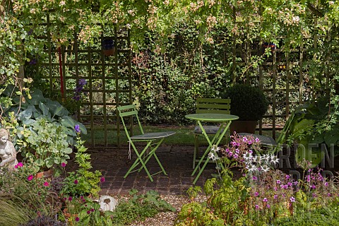 GARDEN_VIEW_SEATING_UNDER_PERGOLA_NGS_OPEN_DAY_HATCH_ROAD_BRENTWOOD_ESSEX