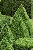 TOPIARY GARDEN BASED ON EUCLIDEAN GEOMETRY,  IN YEW (TAXUS BACCATA) AND BOX (BUXUS SEMPERVIRENS). TOPIARY GARDEN