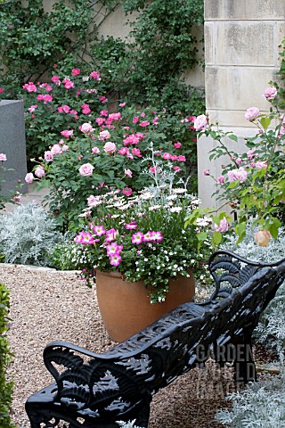 GARDEN_SCENE_WITH_BENCH_AND_ROSES