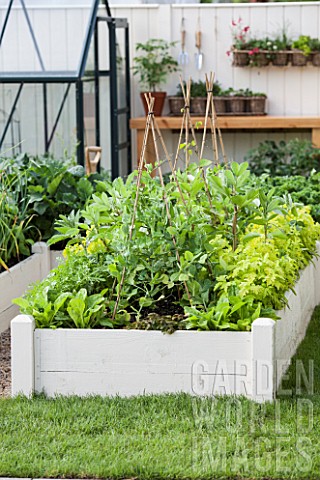 Squarefoot_kitchen_garden