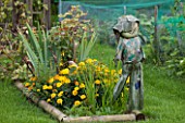 Scarecrow in the floating gardens of Amiens, France