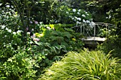 Little bridge in a garden surronding by Hostas, Hakonechloea, Phlox paniculata, Rodgersia, Hydrangea