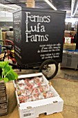Strawberry warehouse order preparation. Lufa Farms. Montreal. Province of Quebec. Canada