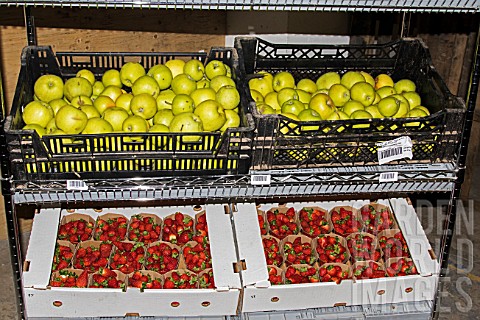 Apples_and_Strawberries_prepared_for_sale_to_individuals_Lufa_Farms_Montreal_Province_of_Quebec_Cana