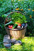 Basket of mixed vegetables: tomatoes, peppers, lettuce, zucchini, potatoes, and wooden shoes