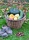 Basket of various autumn vegetables: pumpkin, zucchini, apples, walnuts, chestnuts, pairs of shoes
