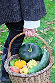 Woman holding a basket of various autumn vegetables: pumpkin, zucchini, apples, walnuts, chestnuts