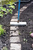Sowing a lawn on a garden path
