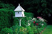 Nesting box in a bed of Hesperis, Paeonia (peony) and Astilbes. Private garden in Belgium