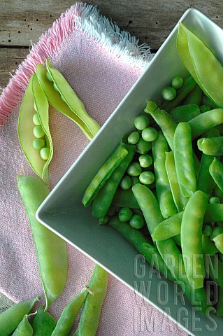 Sugar_peas_and_Garden_peas_Pisum_sativum_in_a_dish_harvested_from_the_garden