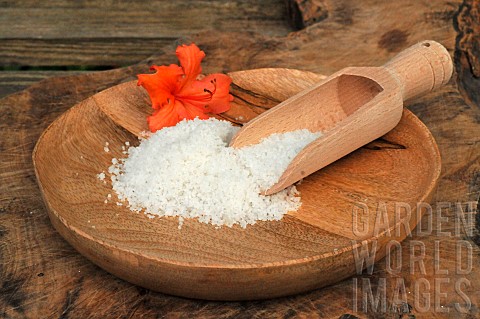 Coarse_salt_in_a_plate_and_a_wooden_spoon_azalea_flower_as_decoration