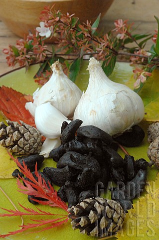 Cultivated_garlic_Allium_sativum_white_garlic_pods_and_black_garlic_health_benefits