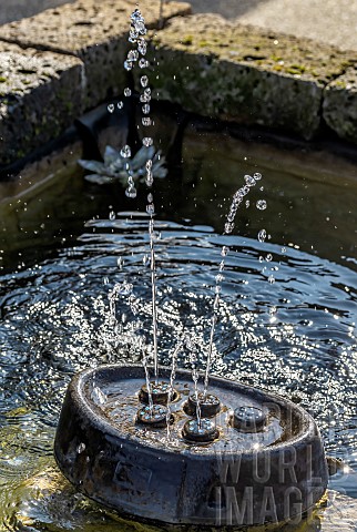 Small_fountain_with_water_jets_in_garden_pond