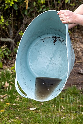 Emptying_the_cups_under_the_plant_pots_to_prevent_the_proliferation_of_mosquito_larvae