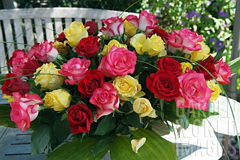 60_mixed_coloured_roses_Rosa_sp