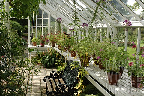 Inside_greenhouse_at_Malleny_Garden_in_Scotland