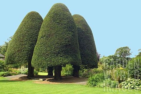 Topiary_at_Malleny_Garden_in_Scotland