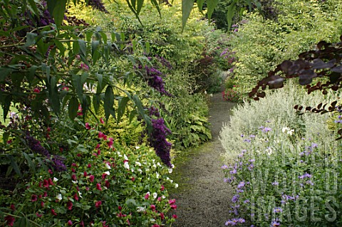 Garden_path_with_flowers_at_Malleny_Garden_in_Scotland