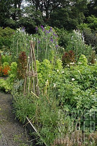 Flowering_vegetable_garden_of_Malleny_in_Scotland