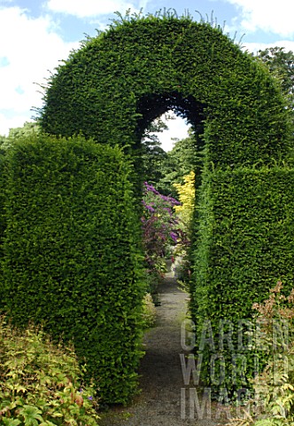 Taxus_Yew_Arch_at_Malleny_Garden_in_Scotland