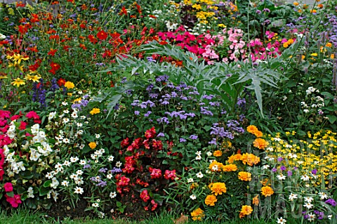 Mixed_annuals_in_summer_border