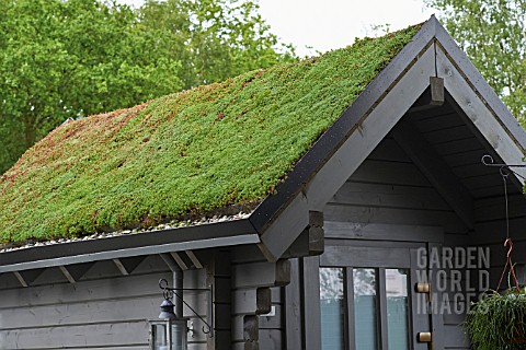 SUCCULENT_GREEN_ROOFING_ON_A_GARDEN_SHED