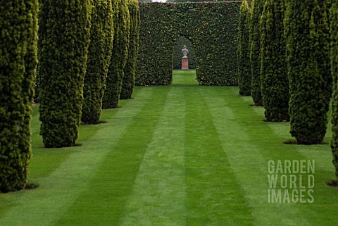 CONIFERS_AND_LAWN