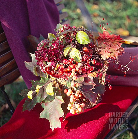 BERRIES_LEAVES_AND_BLOSSOMS_IN_A_BASKET