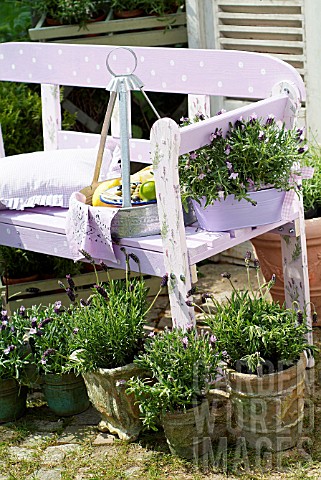 Lawn_seat_with_lavender