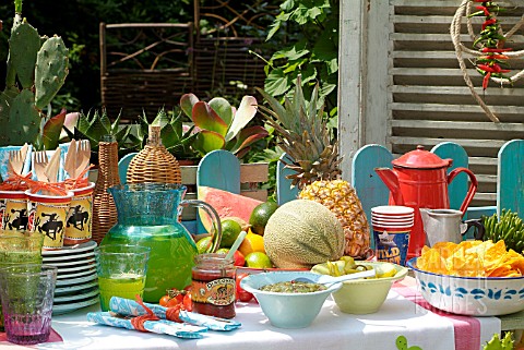 WESTERN_THEMED_GARDEN_PARTY_WITH_FRUIT_AND_SUCCULENTS