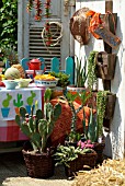 WESTERN THEMED GARDEN PARTY WITH CACTI AND SUCCULENTS