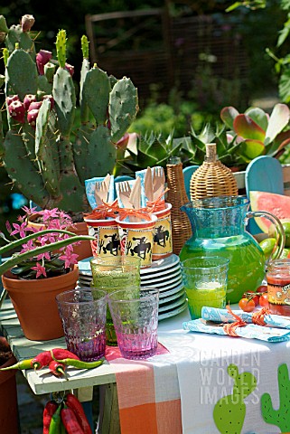 WESTERN_THEMED_GARDEN_PARTY_WITH_CACTUS_AND_SUCCULENTS