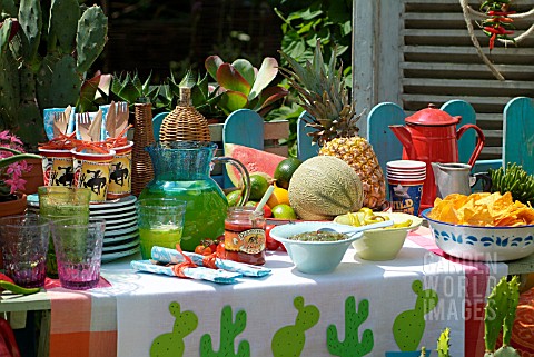 WESTERN_THEMED_GARDEN_PARTY_WITH_CACTI_AND_SUCCULENTS