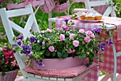 IMPATIENS AND PETUNIAS ON A GARDEN CHAIR