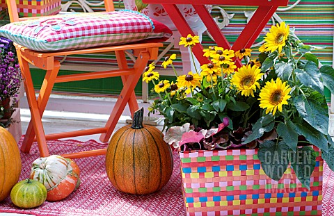 AUTUMNAL_FLOWER_BASKET_WITH_HELIANTHUS_AND_RUDBECKIAS