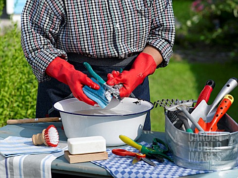 CLEANING_SECATEURS