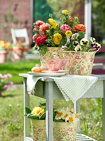 RANUNCULUS_AND_PANSIES_ON_GARDEN_TABLE