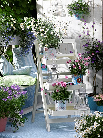 POTTED_SUMMER_FLOWERS_ON_THE_BALCONY