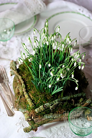 TABLE_DECORATION_WITH_GALANTHUS