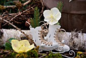 DECORATIVE SKATES DECORATED WITH SPRUCE BRANCHES AND HELLEBORES