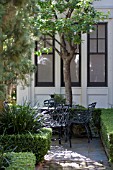 BUXUS SEMPERVIRENS IN FORMAL OUTDOOR GARDEN PATIO WITH BLACK IRON CHAIRS