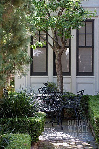 BUXUS_SEMPERVIRENS_IN_FORMAL_OUTDOOR_GARDEN_PATIO_WITH_BLACK_IRON_CHAIRS