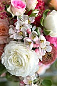 MALUS X EVERESTE  SPRING BOUQUET OF PINK ROSES  RANUNCULUS AND APPLE BLOSSOM DETAIL