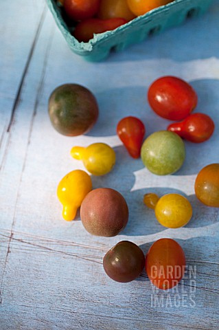 HEIRLOOM_ORGANIC_CHERRY_TOMATOES_INCLUDING_YELLOW_PEAR_RED_PEAR_ISIS_CANDY_CUBAN_YELLOW_GRAPE_BLACK_