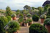 TERRACE WITH LARGE TERRACOTTA POTS, BOX TOPIARY AND ROSES AT HANHAM COURT