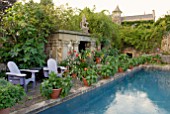LATE SUMMER DISPLAY OF POTTED PLANTS BY SWIMMING POOL AT HANHAM COURT