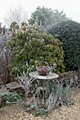 FROSTED VERBENA BONARIENSIS AND LUNARIA AND RUSTIC TABLE WITH BASKET OF TERRACOTTA POTS
