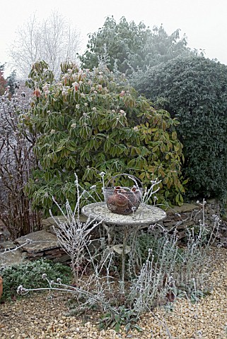 FROSTED_VERBENA_BONARIENSIS_AND_LUNARIA_AND_RUSTIC_TABLE_WITH_BASKET_OF_TERRACOTTA_POTS