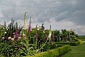 BOX- EDGED BORDERS WITH ROSES AND FOXGLOVES AT OZLEWORTH PARK, GLOUCESTERSHIRE