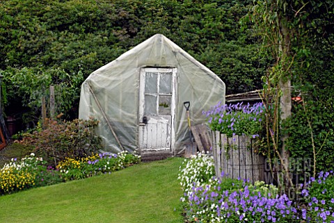 PLASTIC_COVERED_GREENHOUSE_AND_GERANIUMS_IN_BORDER
